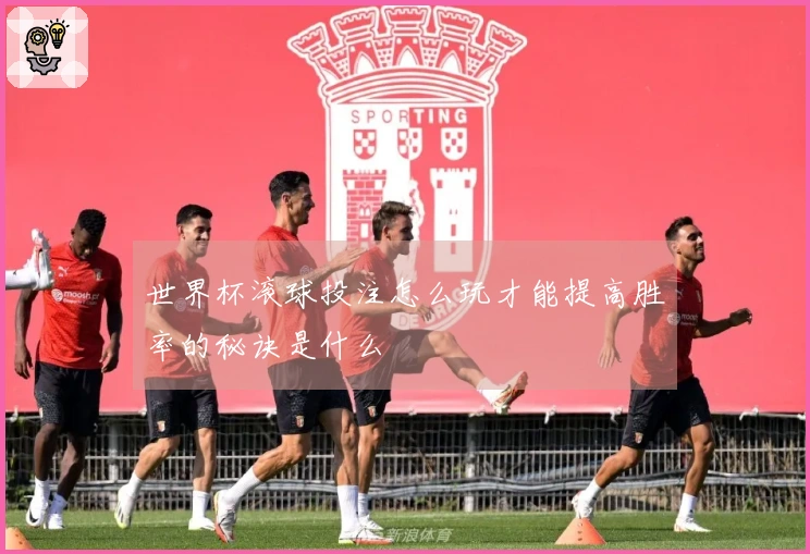 世界杯滚球投注怎么玩才能提高胜率的秘诀是什么