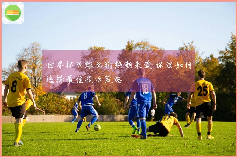 世界杯买球竞猜热潮来袭 你该如何选择最佳投注策略