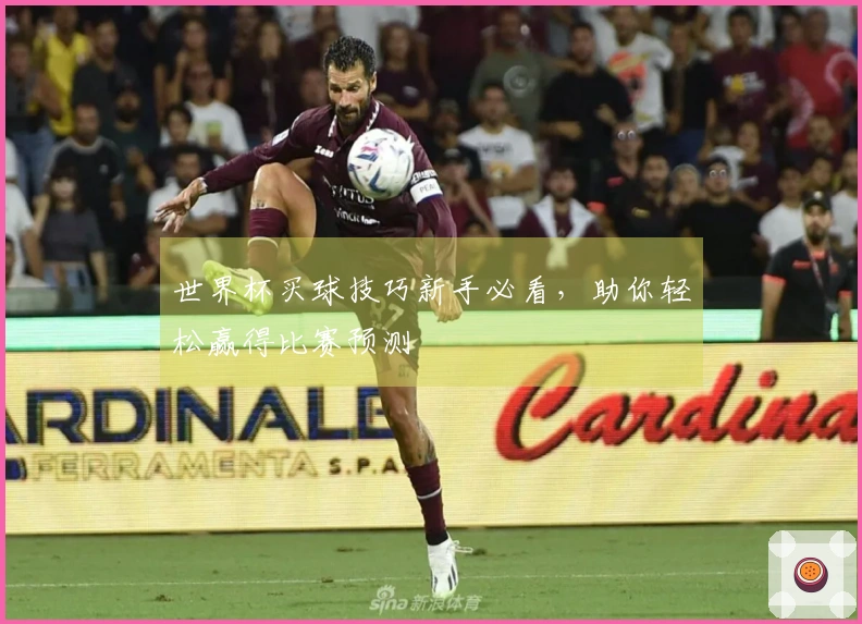 世界杯买球技巧新手必看，助你轻松赢得比赛预测