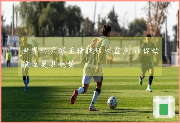 世界杯买球竞猜技巧大盘点 让你的投注更具优势