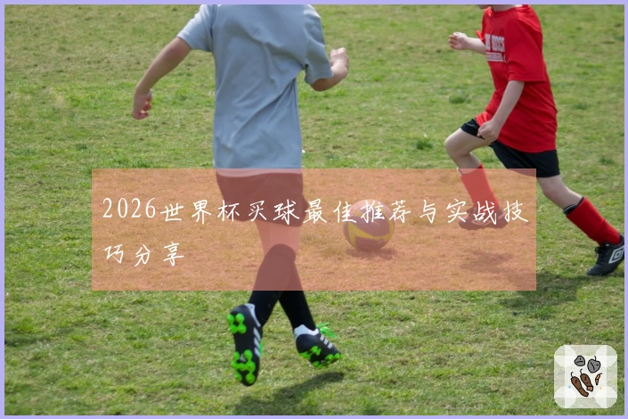 2026世界杯买球最佳推荐与实战技巧分享