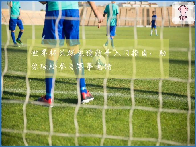 世界杯买球竞猜新手入门指南，助你轻松参与赛事竞猜