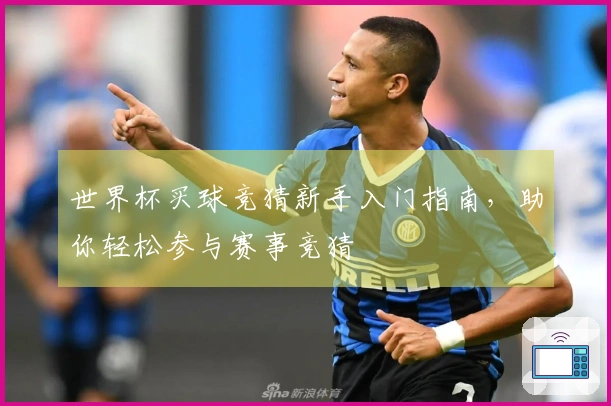 世界杯买球竞猜新手入门指南，助你轻松参与赛事竞猜