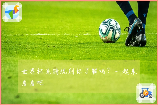 世界杯竞猜规则你了解吗？一起来看看吧