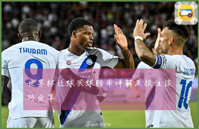 世界杯让球买球赔率详解及投注技巧分享